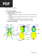 Biology of Spiders