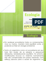 Aula 8 - Quebra Do Equilíbrio Ambiental