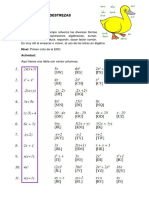 Dibujo de Las Destrezas Algebraicas: Observaciones