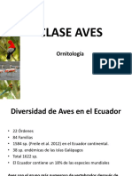 Clase Aves