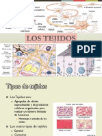 PDF Tejidos