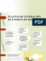 Plantas de Generación de Energía de Biomas