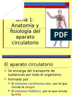 Aparato Circulatorio