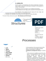 Structures: - Lips - Teeth - Tongue - Hard Plate - Soft Plate - Glottis - Muscles