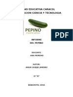 Informe Del Pepino