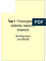 04 metabolismo  MG 08-09.pdf