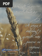 Corinhos de Louvor e Adoracao