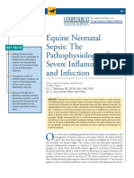 Equine Neonatal Sepsis COMPENDIUM