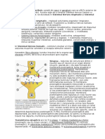 Sistemul Nervos Periferic