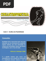 Analise Da Flexibilidade