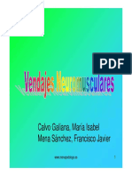 pp_vnm.pdf