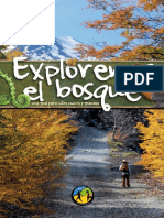 Exploremos El Bosque PDF