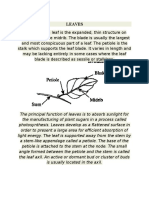 The Principal Function of Leaves is to Absorb Sunlight for the Manufacturing of Plant Sugars in a Process Called Photosynthesis