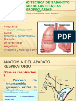 Exposicion Anatomia