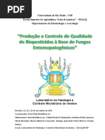 Fungos Entomopatogênicos