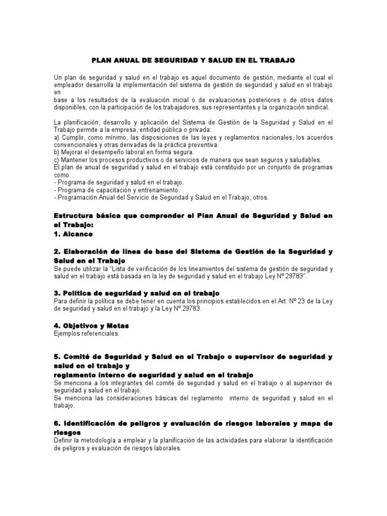 Plan Anual de Seguridad y Salud en El Trabajo | PDF | Derecho laboral ...