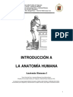 INTRODUCCION%20LOCOMOTOR%20kine%202012.pdf