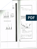 Digitalizar0004 PDF