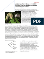 Peru Burseraceae.pdf