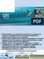 Gas Natural completo