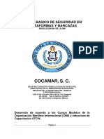 MANUAL DEL PARTICIPANTE BASICO DE SEGURIDAD EN PLATAFORMAS Y BARCAZAS vior.pdf