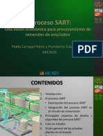 PROCESO SART.pdf