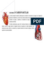 Sistema Cardio