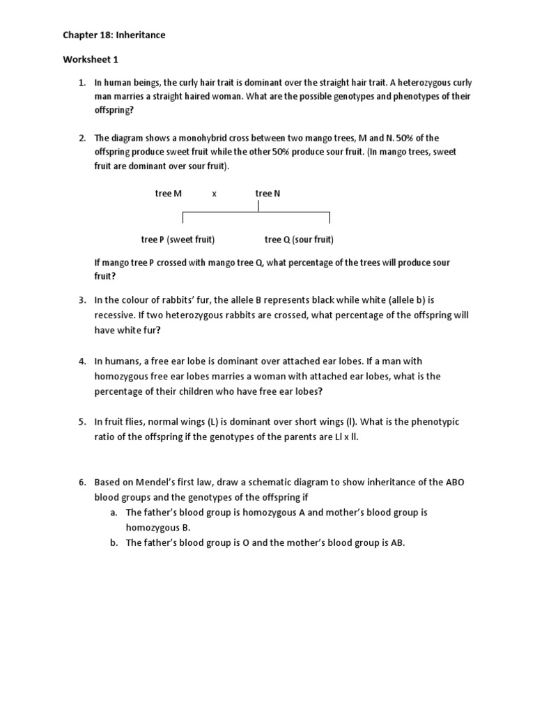 inheritance biology igcse worksheet dominance genetics zygosity