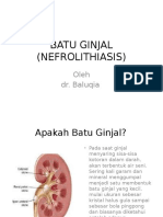 Batu Ginjal (Nefrolithiasis)