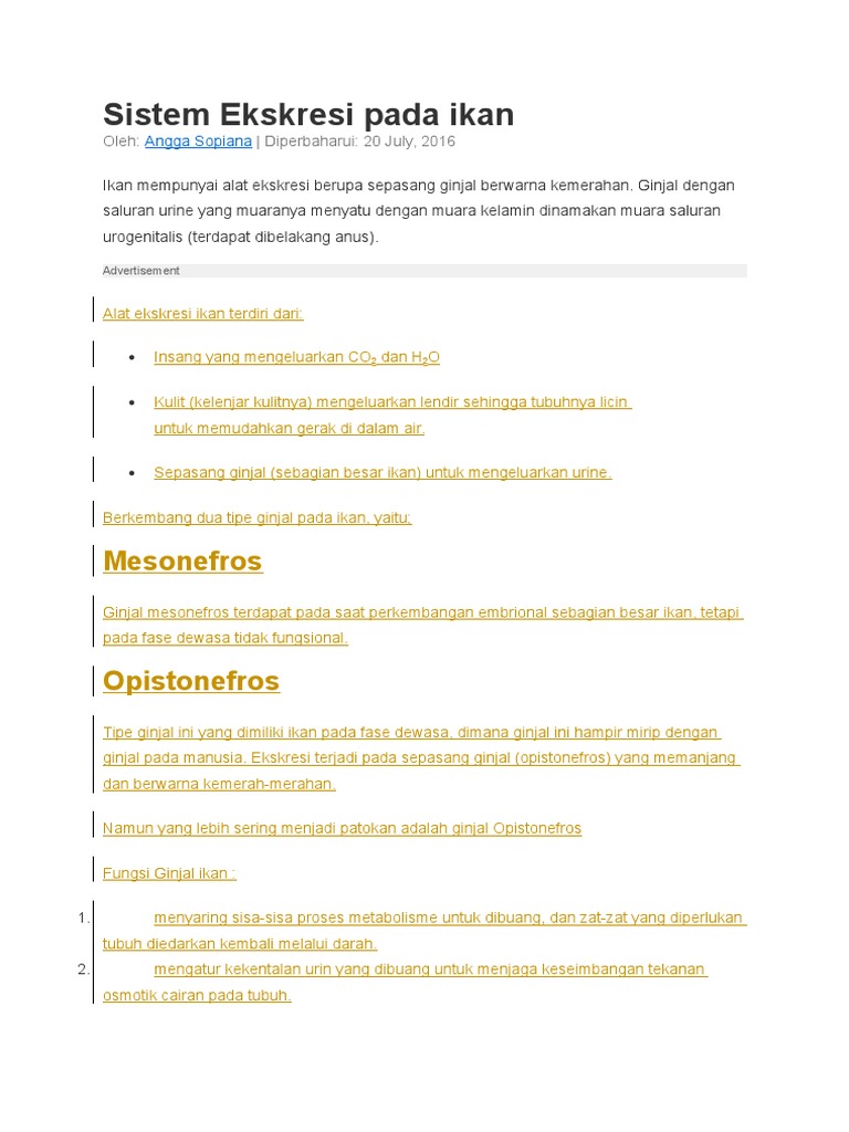 Download 4300 Koleksi Gambar Ginjal Mesonefros Terbaik Gratis HD