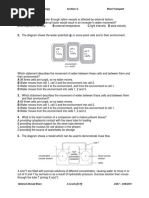 G Transport (Plants I)