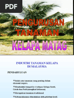 Pengurusan Kelapa Matag