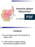 10.anemia Dalam Kehamilan-2010