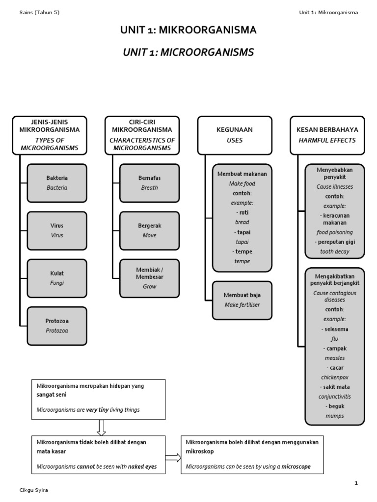 Mikroorganisma - Tahun 6.KSSR  PDF