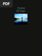 RioNegro.pdf
