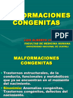 Malformaciones Congenitas