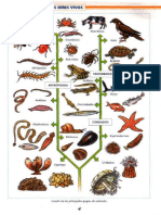 atlas de zoologia, santillana.pdf