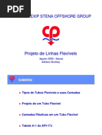 Projet1 - Palestra Brasiflex