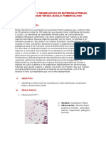 Aislamiento y observación de Enterobacterias, Clostridium tetani y bacilo tuberculoso