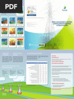 Furnas - Faixa de Servidão