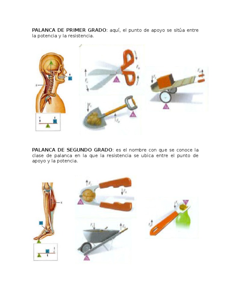 Palanca de Primer Grado PDF