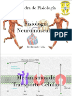 Neuromuscular
