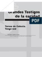 07 - Grandes Testigos de La Caridad