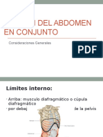 Examen Del Abdomen en Conjunto