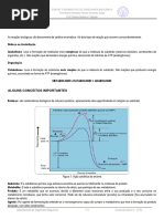 Fundamentos da Eng Bioquimica 