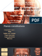 Planos Constitutivos