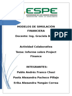 Informe Project Finance