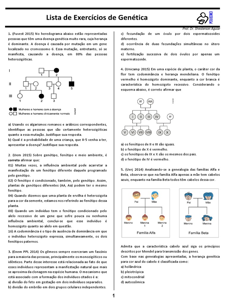 Exercícios de Genética para 9º Ano | PDF | Alelo | Dominância (genética)