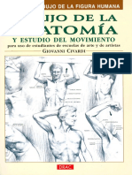 Dibujo Anatomia y Estudio Mov PDF