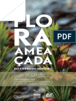 Flora Ameacada Cerrado Mineiro-guia de Campo
